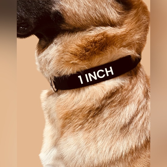 0.75” Dog Collar - White with Paw Prints/Bones, Paw Print Dog Collar, Paw Prints - Picture 12 of 15